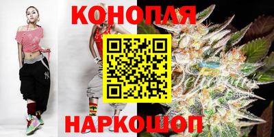 a pvp Свободный